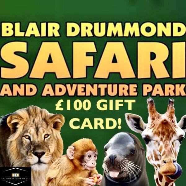 Blair Drummond Safari