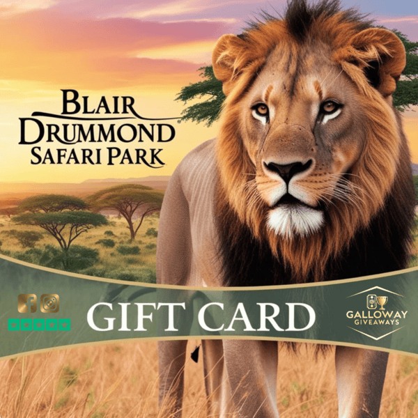 Blair Drummond Safari